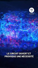 T'es accro à la clope à cause de tes gènes ?