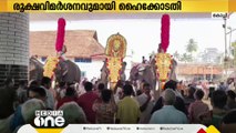 തൃപ്പൂണിത്തുറ ക്ഷേത്രത്തിലെ ആന എഴുന്നള്ളിപ്പിൽ മാർഗനിർദേശം ലംഘിച്ചതിൽ രൂക്ഷവിമർശനവുമായി കോടതി