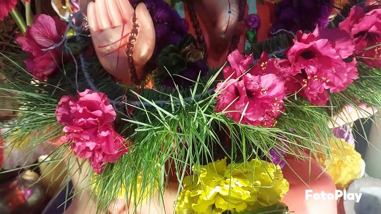 Daya ki vhader by Chitralekha Dixit