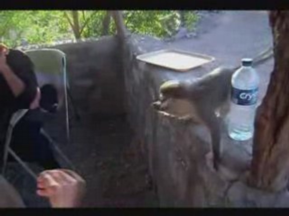 Vidéo perso paysage Djibouti