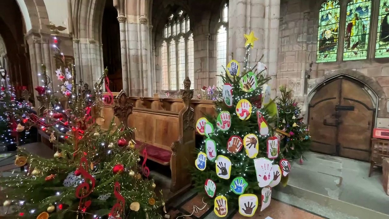 Christmas Tree Festival trees inside Crediton Parish Church (Will Goddard, Crediton Courier)