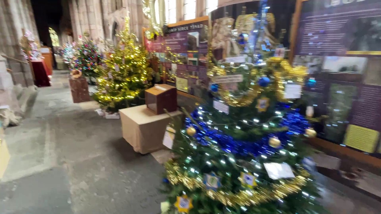 Christmas Tree Festival trees inside Crediton Parish Church 2 (Will Goddard, Crediton Courier)