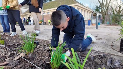 Les Jeunes du Quartier des Glacis Embellissent Leur Environnement 🌱