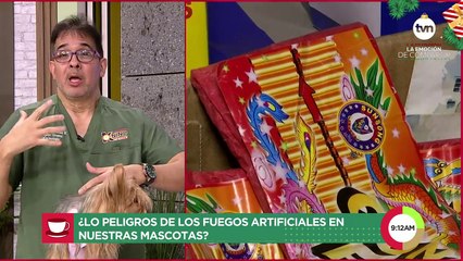 Tio Knino: ¿Afectan los fuegos artificiales a nuestras mascotas?