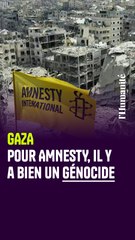 Génocide à Gaza : le mot est posé par Amnesty International