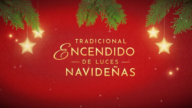 01 TRADICIONAL ENCENDIDO DE LUCES NAVIDEÑAS