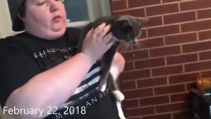 Rarity Gets Spayed: February 16-22, 2018