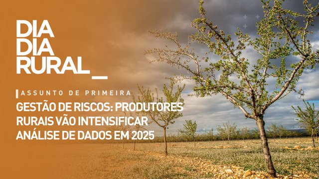 Gestão de riscos: produtores rurais vão intensificar análise de dados em 2025