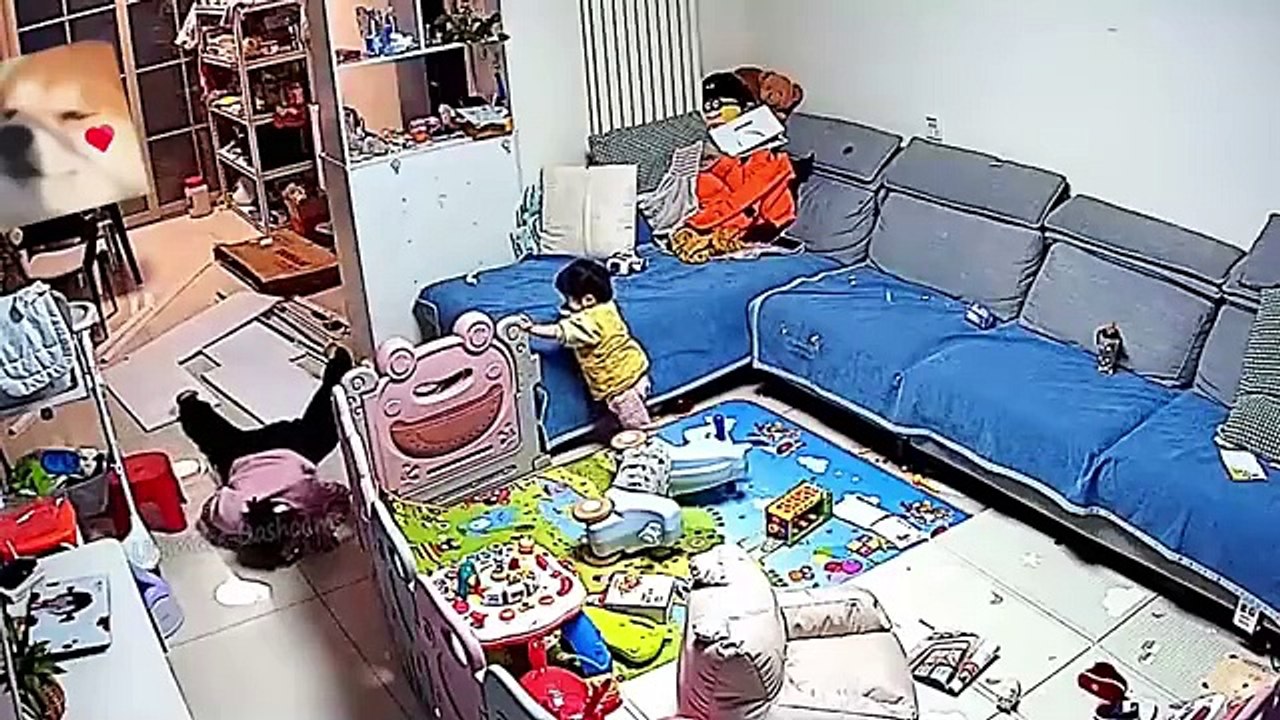 Surprised and Unexpected Fails Hilarious Fails Compilation 2024