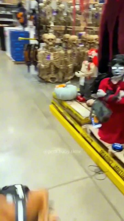 Discover Amazing Videos! 🌟  Trending Content Highlights