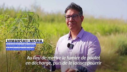 L'Arabie saoudite mise sur la "green tech" pour verdir le désert