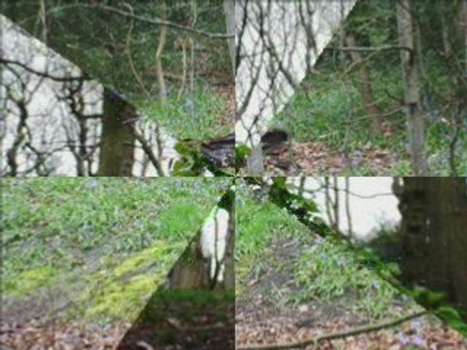 Spring 2008