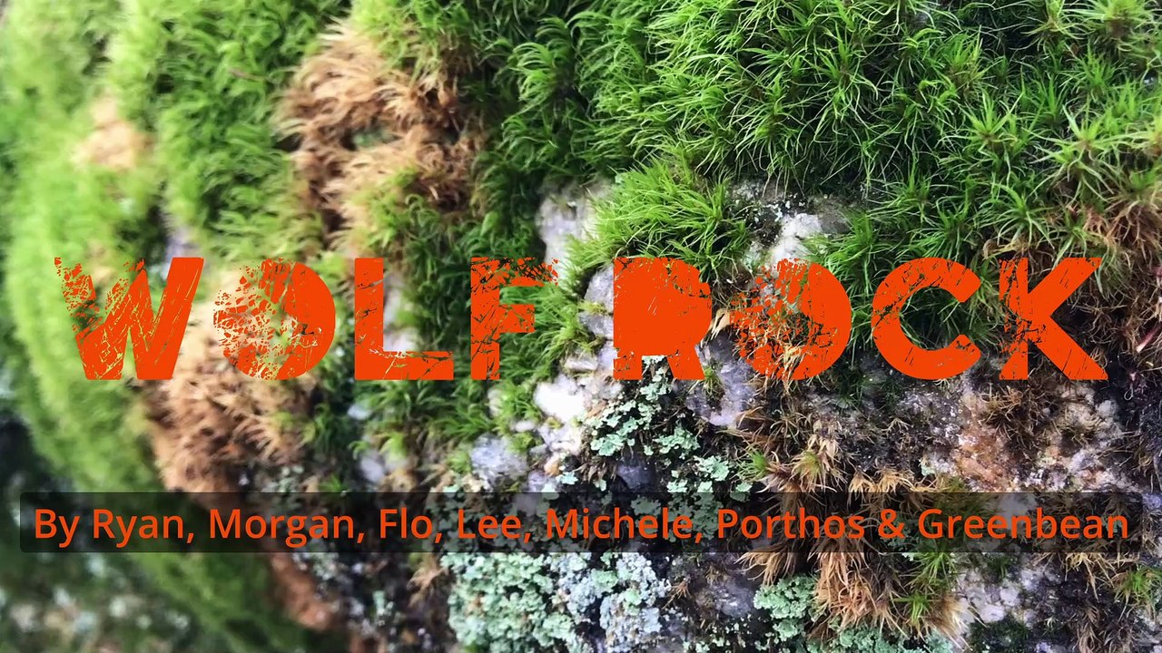 Wolf Rock