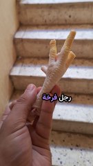 الطريقة الصحيحة للتخلص من بقايا الأكل