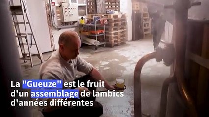 La Gueuze, "bière primitive", attire à Bruxelles les curieux du monde entier
