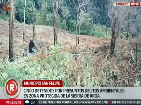 Yaracuy | Cinco ciudadanos son detenidos en el mcpio. San Felipe por delitos ambientales