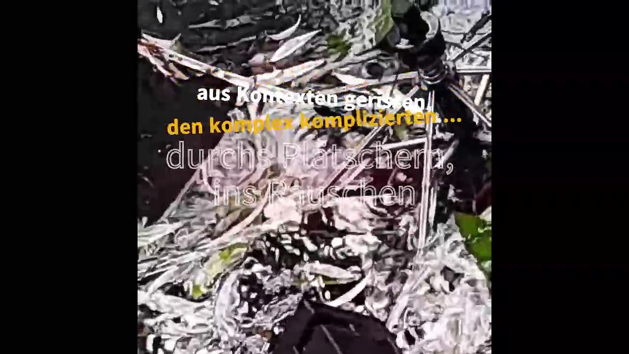 meine 'illusio' hat draußen im Regen gespielt (aus: 'Anfang von etwas', Isabella Breier)