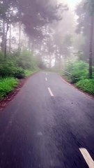 Wonosobo Jawa Tengah