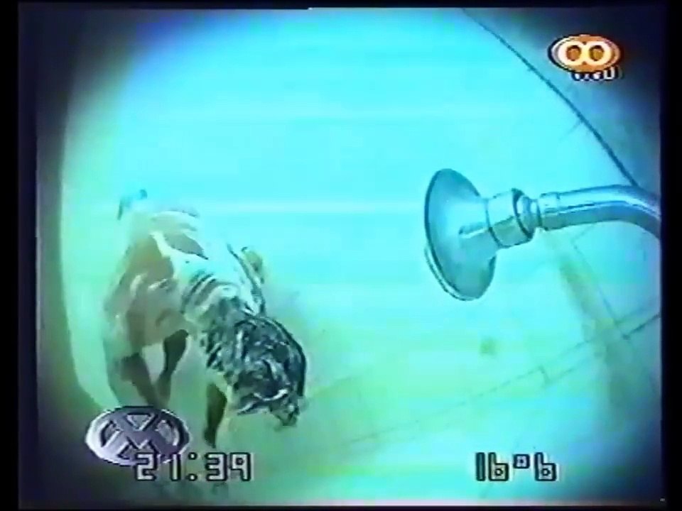 Tinelli. Compilado. Cámara oculta, el peor día de tu vida. El show de videomatch.