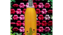 🌵 ｜The Porfidio Cactus Bottle (Ad)
