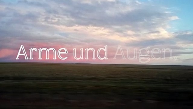 Arme und Augen (schläfrig durch die Pampa, samt fluffigen Fonts) (aus: mir kommt die Hand der Stunde ... , Isabella Breier)