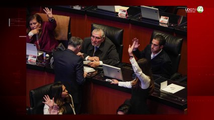 Senador de la república buscará aplazar cobro de impuesto a cruceristas