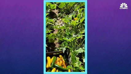 Marrocos possui cerca de 70% das reservas de fosfato global