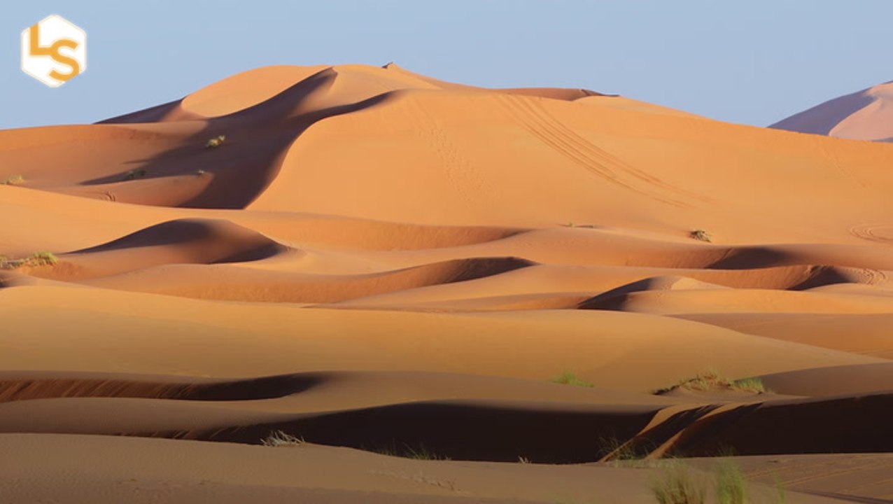 Could The Sahara Ever Be A Green Savannah Again?