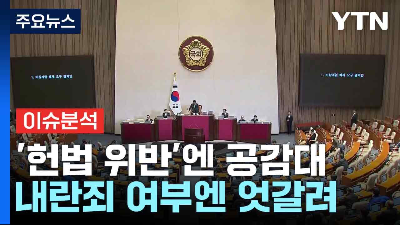 '헌법 위반'엔 공감대...내란죄 여부엔 엇갈려 / YTN