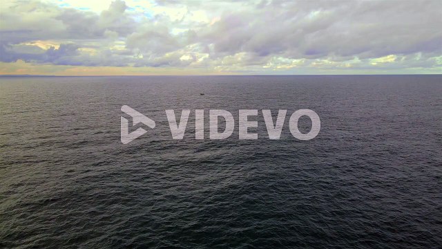Bondi Beach Coast With Humpback Whale Breaching - Whale Watching In NSW, Australia