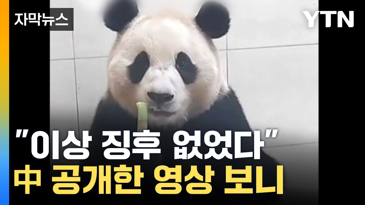 [자막뉴스] "검사 결과 정상"...푸바오 근황 공개한 中 / YTN