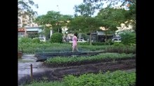 Đồng Hồ Cát - Tập 01 - Phim Truyền Hình Việt Nam Hay Nhất 2024 - Phim Truyện Việt Nam Hay Nhất 2024