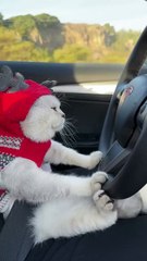 Belajar menyetir mobil dulu kita