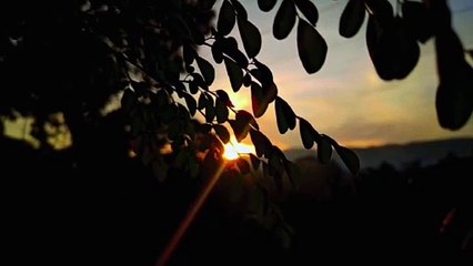 Chasing the golden hour dream