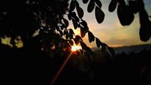 Chasing the golden hour dream