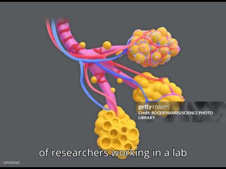 first new treatment in 50 yrs for asthma &copd"coud be a game changer"