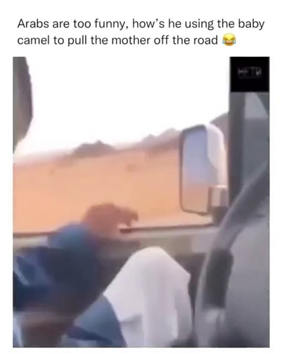 Funny clip