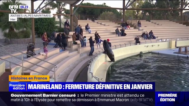 Marineland: les derniers spectacles du parc avant sa fermeture définitive en janvier