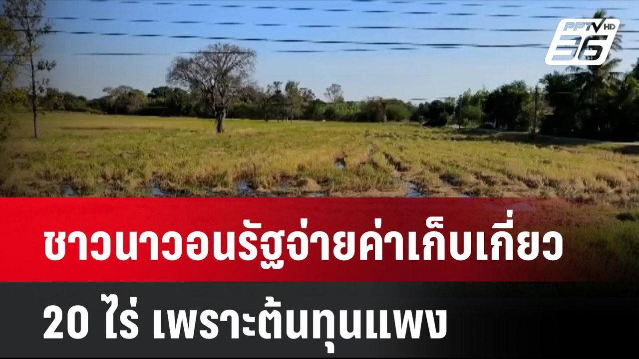 ชาวนาวอนรัฐจ่ายค่าเก็บเกี่ยว 20 ไร่ เพราะต้นทุน...