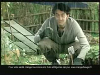 Pub legunes poyager de herta pub 2008