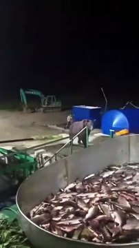 Regardez qui vient contrôler la qualité du poisson pêché