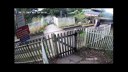 Trespassers pose for photos on railway track