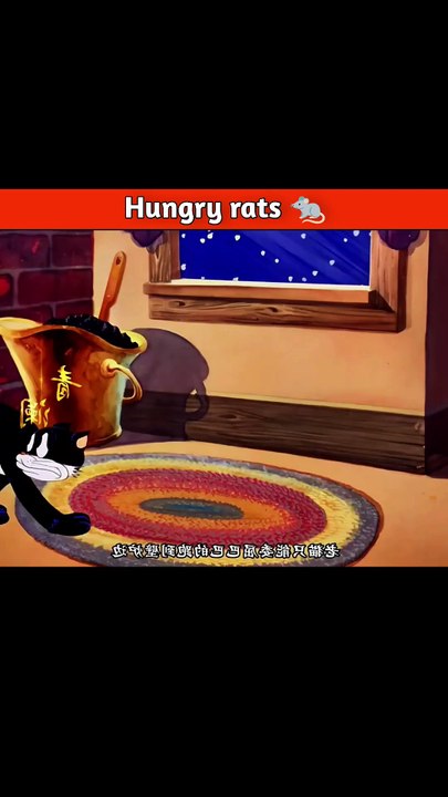 Hungry rats 🐀
