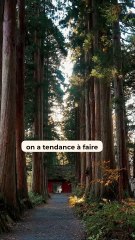 Ne faites pas cette erreur au Japon 🇯🇵🚨