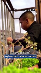 Dituduh Lempari Warga Israel dengan Batu, Remaja Palestina Jadi Tahanan Israel