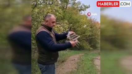 Bolu'da Kaçak Avcılığa Geçit Yok