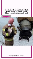 Kali ini bukan si oyen buat hal, si hitam bikin onar pula