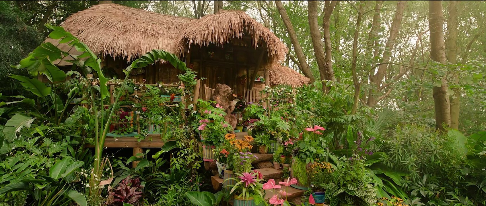 Paddington in Peru Trailer (3) DF