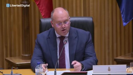 Tellado asegura que Sánchez representa "una OPA hostil" a la Carta Magna