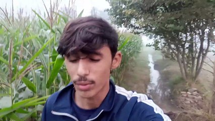 1K subscriber pure hone par party check karo